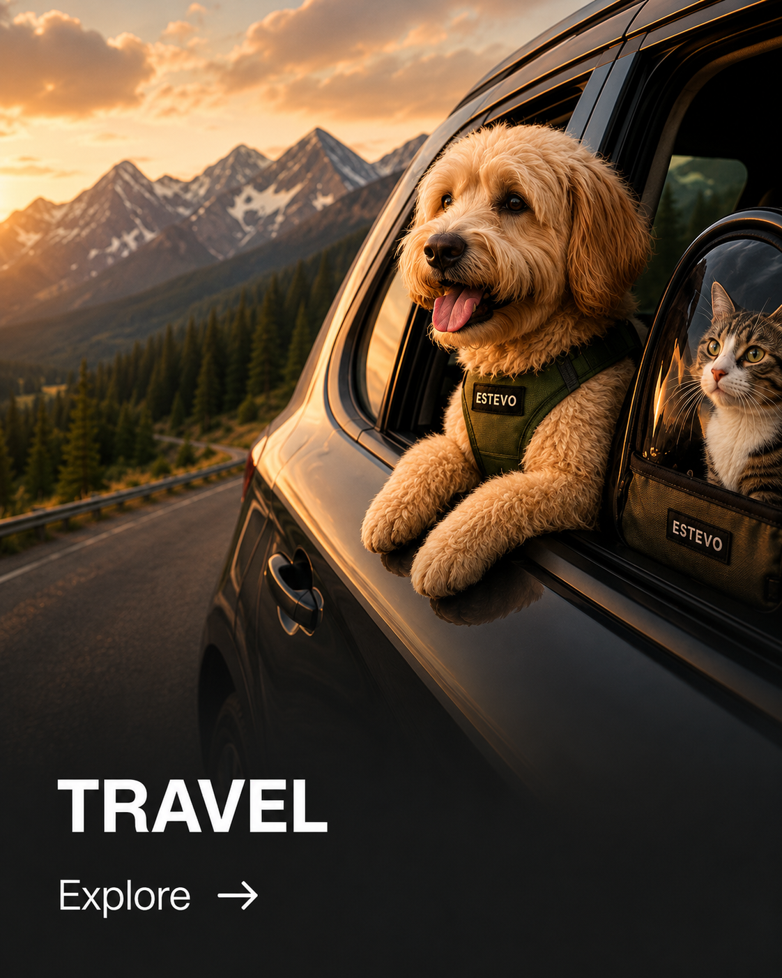 Travel
